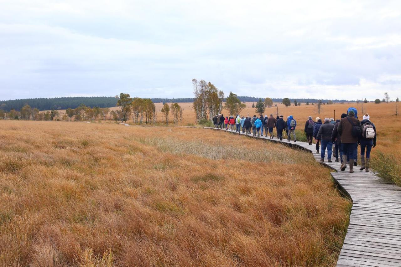 Willa Le Brocard Des Fagnes - 16 Pers Malmedy Zewnętrze zdjęcie